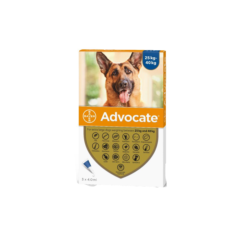 Advocate za pse 