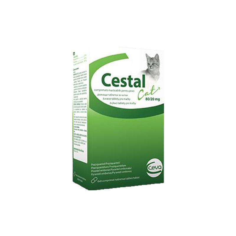 Cestal cat za mačke