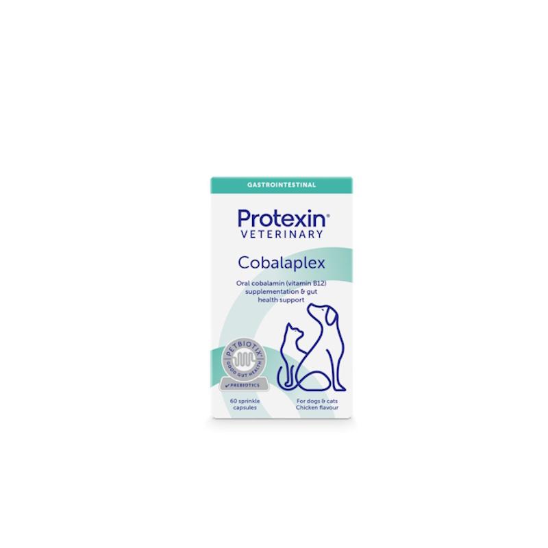 Cobalaplex 60 kapsula