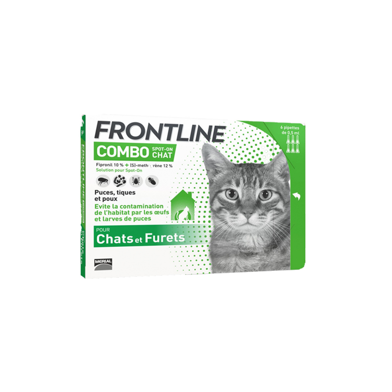Frontline combo cat