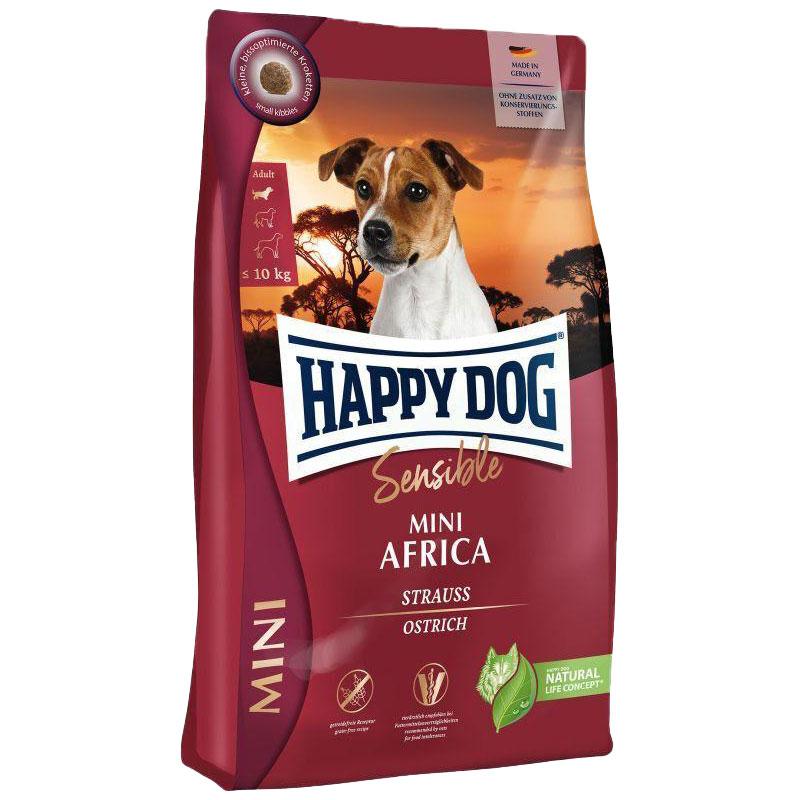 Happy dog sensible mini Africa