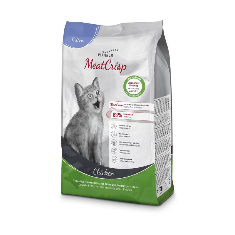 Platinum cat kitten piletina