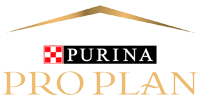 Pro Plan